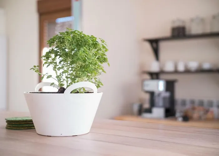 Auberge de jeunesse De *